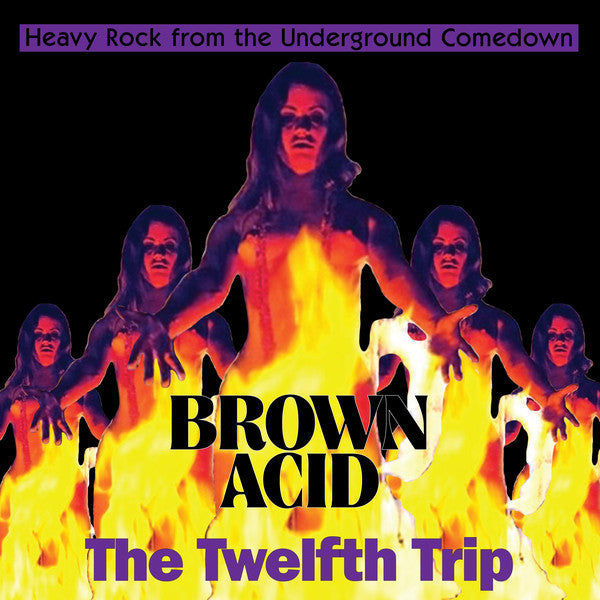 Various Artists – Brown Acid: the Twelfth Trip 🇺🇸