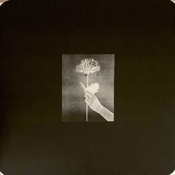 White Flowers – Day by Day (Blue Vinyl) 🇺🇸