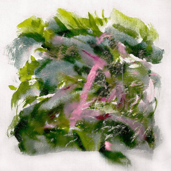 Mizu – Forest Scenes (Color-in-color Light Pink & Red Vinyl) 🇺🇸