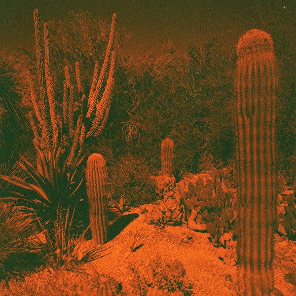 Cameron & Eli Winter Knowler – Anticipation (Purple Vinyl) (I) 🇺🇸