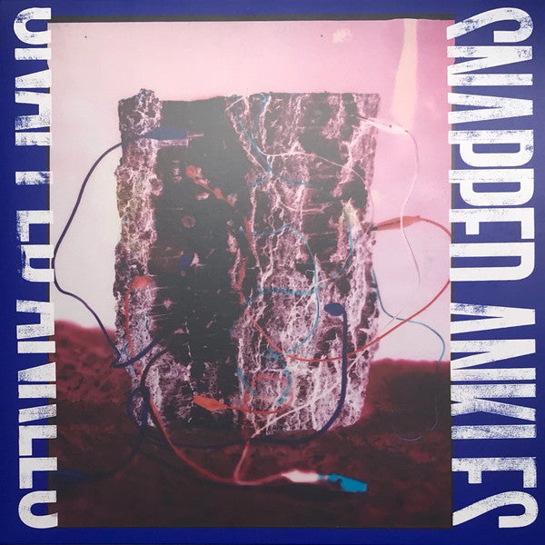 Snapped Ankles – Forest of Your Problems (the Protester Edition) (Forest Floor Recycled Vinyl/DL Card) (I) 🇺🇸