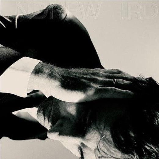 Andrew Bird – Inside Problems (Sky Blue Vinyl) 🇺🇸