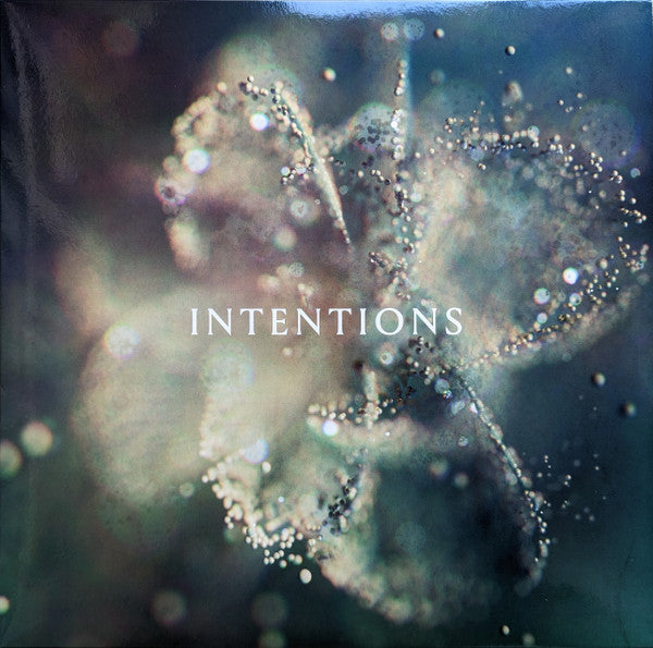 Anna – Intentions (2LP) 🇺🇸
