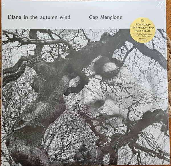 Gap Mangione – Diana in the Autumn Wind 🇺🇸