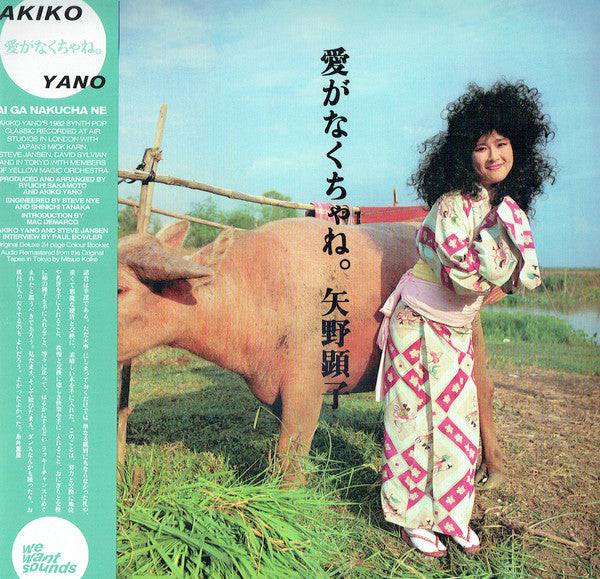 Akiko Yano – Ai Ga Nakucha Ne 🇺🇸