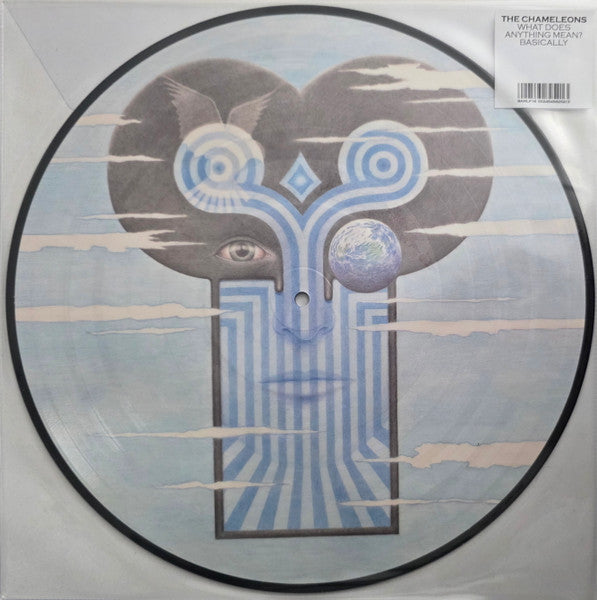 Chameleons – What Does Anything Mean? Basically (Picture Disc/Limited/Import) 🇺🇸