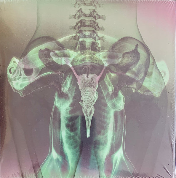 Eartheater & Shygirl – Shark Brain / Dolphin (Glow 7Inch) 🇺🇸