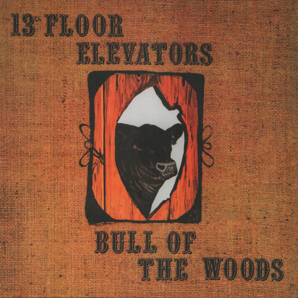 13TH Floor Elevators – Bull of the Woods (Half Speed Remaster) 🇺🇸