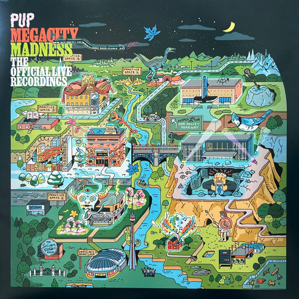 Pup – Megacity Madness (The Official Live Recordings) (Multicolor Splatter Vinyl) 🇺🇸