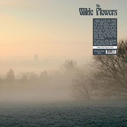 Wilde Flowers – Wilde Flowers (180G) 🇺🇸
