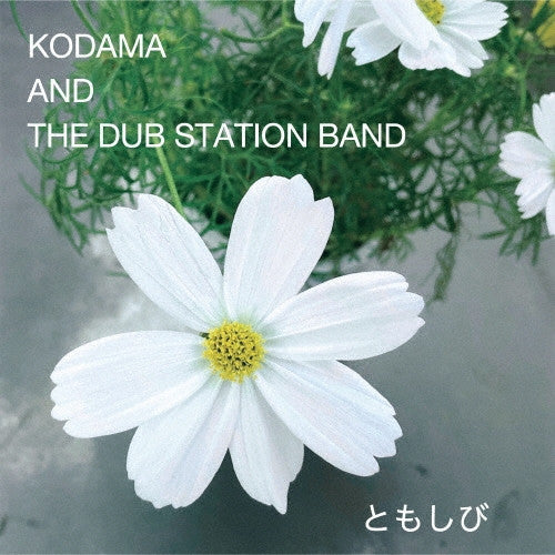 Kodama & the Dub Station Band – Tomoshibi 🇺🇸