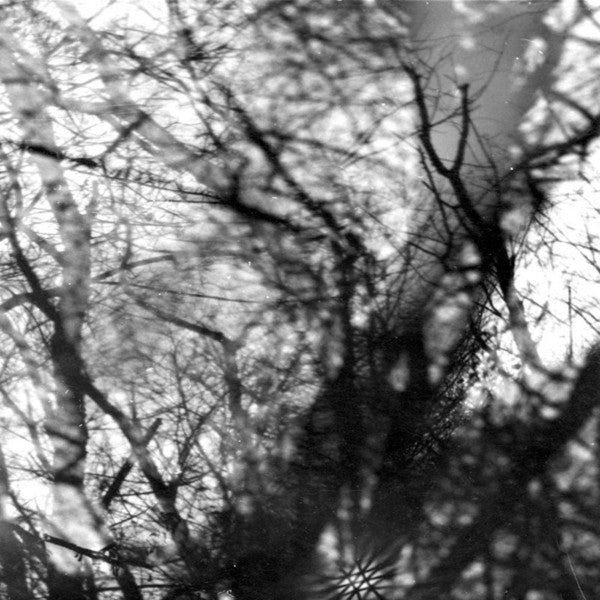 Grouper – Way Their Crept [CD Nuevo] 💿 🇺🇸