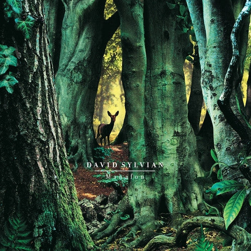 David Sylvian – Manafon (2LP) 🇺🇸