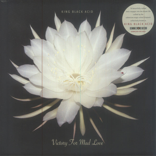 King Black Acid – Victory for Mad Love 🇺🇸
