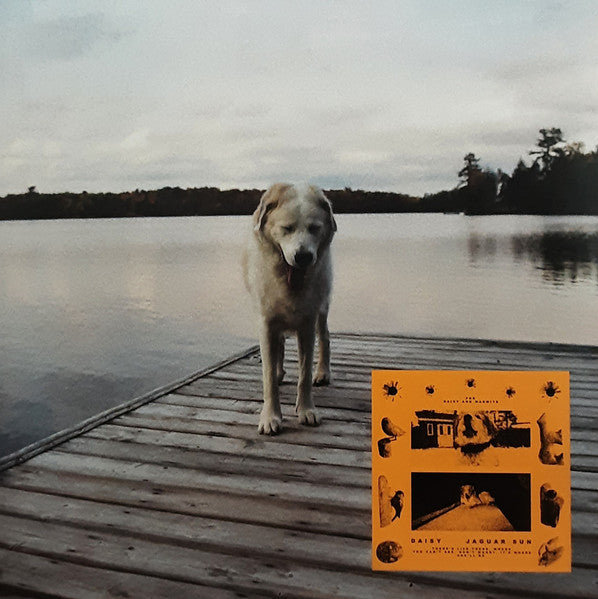 Jaguar Sun – Daisy (Black & Yellow Swirl Vinyl) 🇺🇸