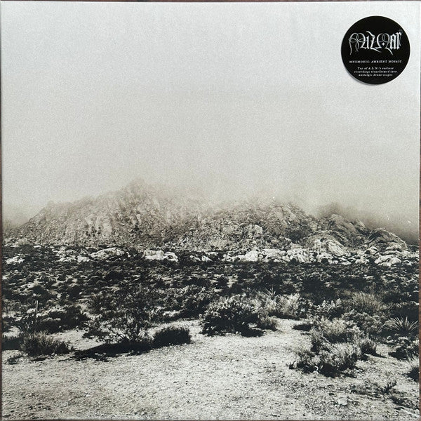 Mizmor – Mnemonic: Ambient Mosaic 🇺🇸