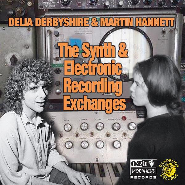 Delia & Martin Hannett Derbyshire – Synth & Electronic Recording Exchanges (180G) 🇺🇸