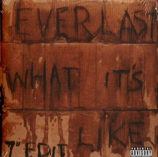 Everlast – What It's Like/Ends 🇺🇸