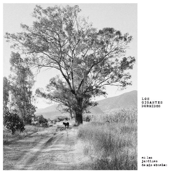 Gigantes Dormidos – Los Jardines De Mis Abuelos 🇺🇸