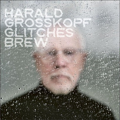 Harald Grosskopf – Glitches Brew 🇺🇸