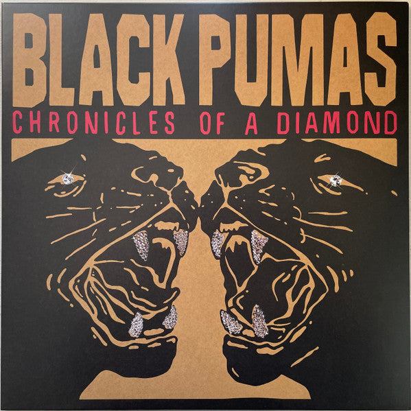 Black Pumas – Chronicles of a Diamond (Clear Vinyl) 🇺🇸
