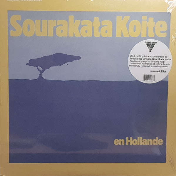 Sourakata Koite – En Hollande 🇺🇸