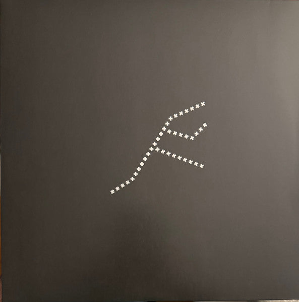 Nicolas Jaar – Piedras 1 & 2 (2LP) 🇺🇸