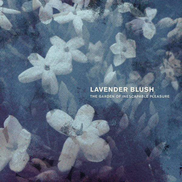 Lavender Blush – Garden of Inescapable Pleasure 🇺🇸