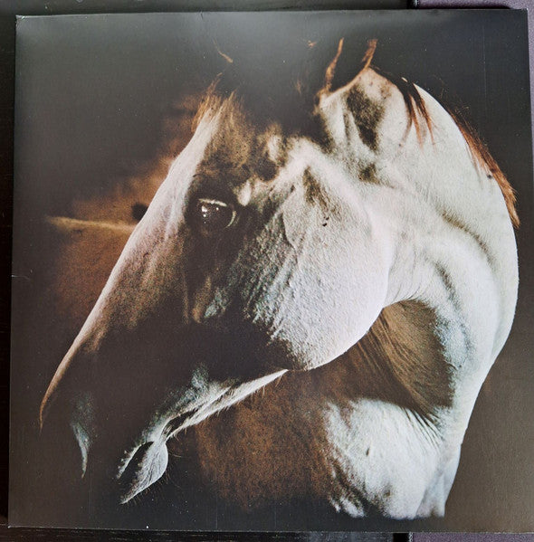 Brother Dege – How to Kill a Horse 🇺🇸