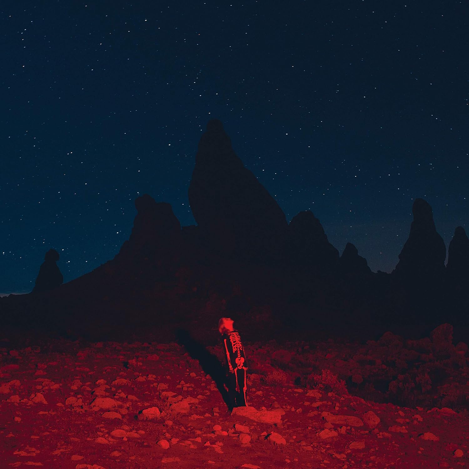Phoebe Bridgers – Punisher