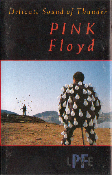 Pink Floyd – Delicate Sound Of Thunder [Cassette] (Usado)