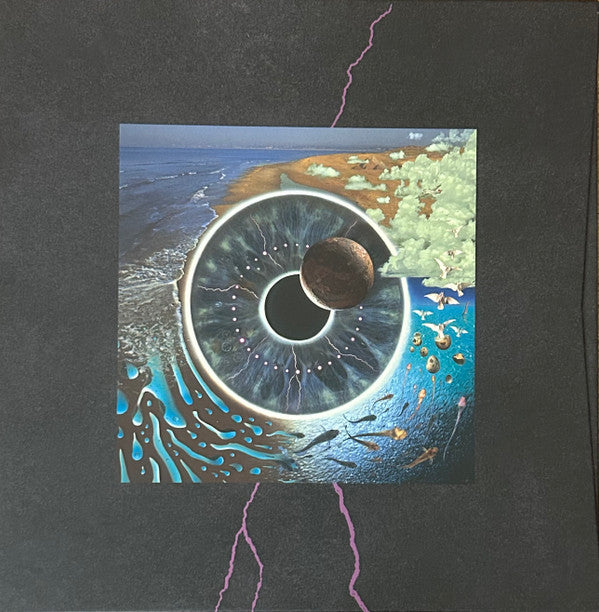 Pink Floyd ‎– Pulse [Remastered 180 Gram Box Set] (Usado)