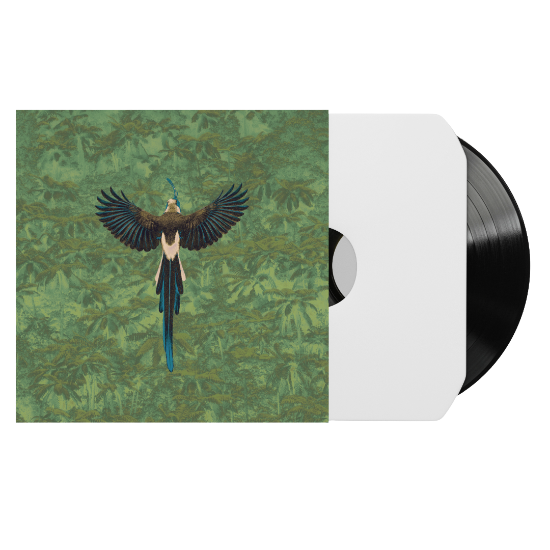 Magpie Jay - Urraca (Edición limitada 100 copias) [Preorden Lanzamiento mes de Mayo]