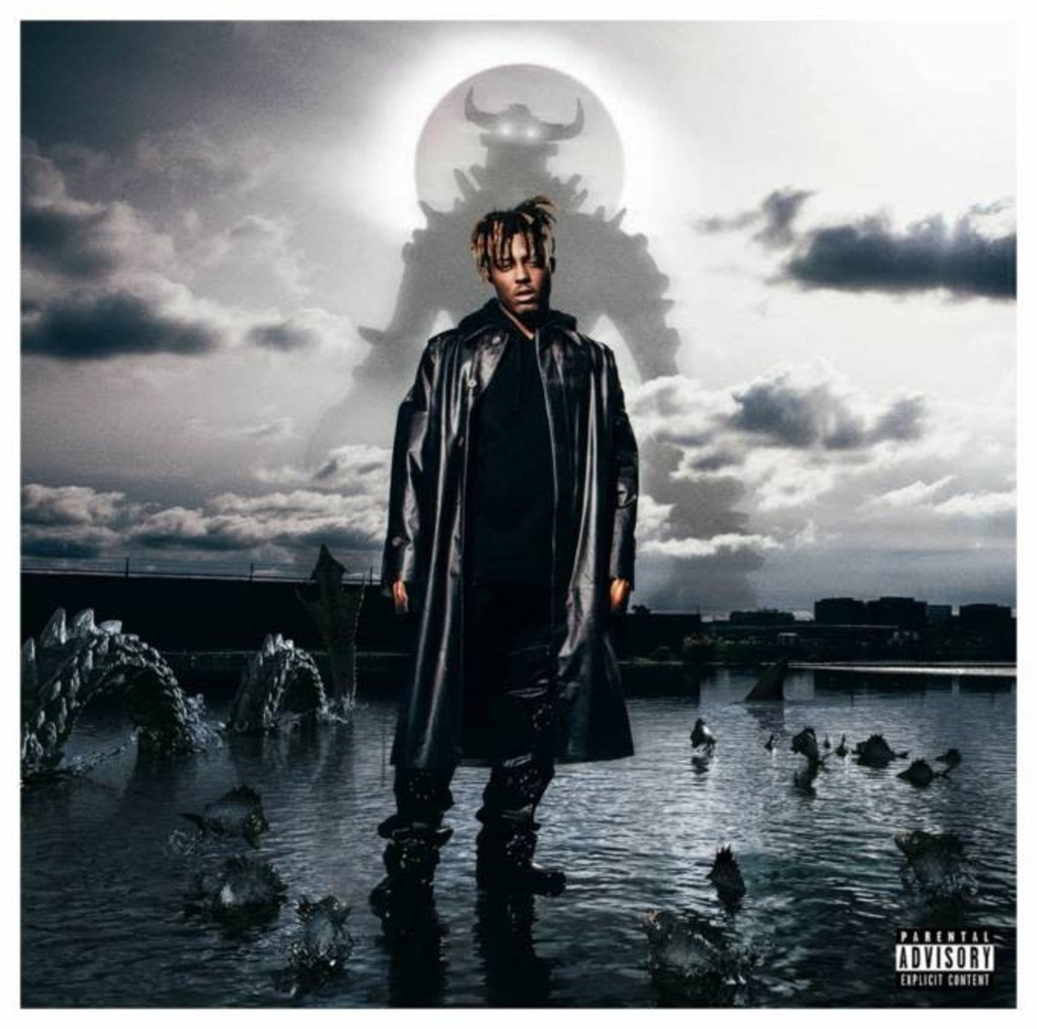 Juice Wrld - Fighting Demons (2Lp) 🇺🇸